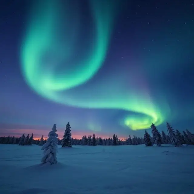 The Northern Lights dancing over a snowy landscape in Lapland